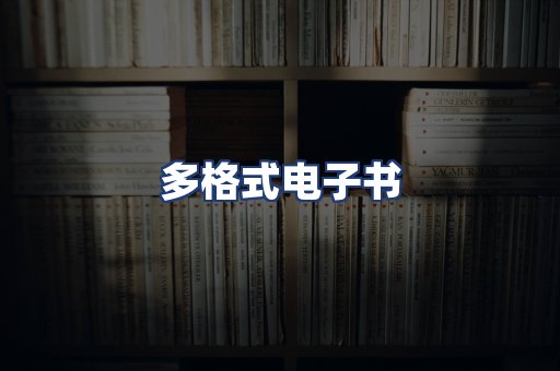 多格式电子书